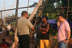 In Sorong, mangrove poles are used as construction materials.