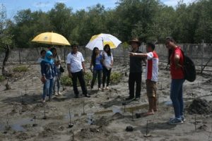 Starting the survey of mangroves and their habitats.